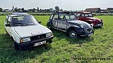Zandlemig Vlaanderen